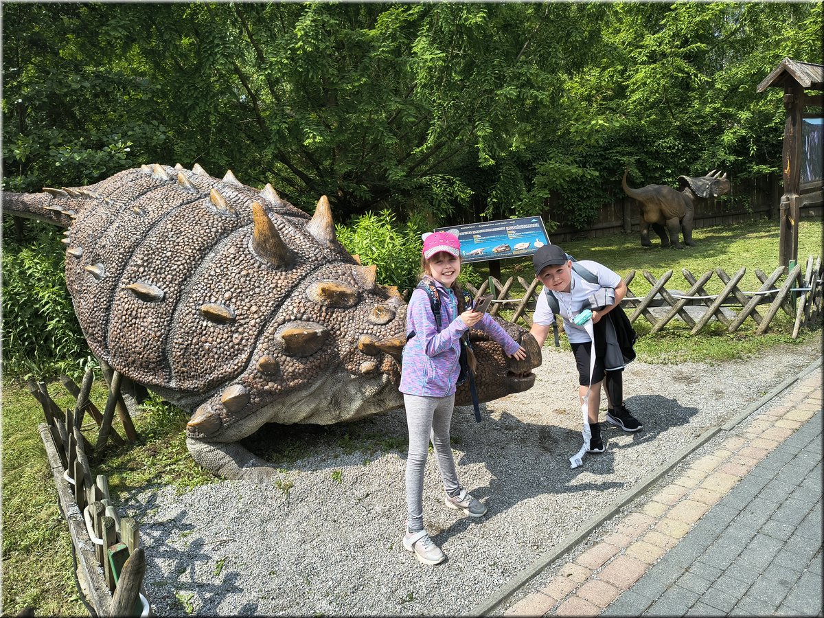 IMG_20250610_105518725_HDR.jpg