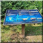 20250610_100019.jpg