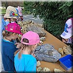 20250610_102939.jpg