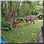 20250610_103543.jpg