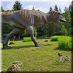 20250610_103740.jpg