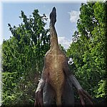 20250610_103837.jpg