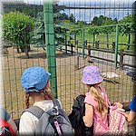 20250610_112525.jpg