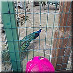20250610_112545.jpg