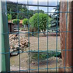 20250610_112557.jpg