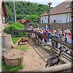 20250610_113115.jpg