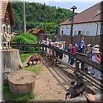 20250610_113117.jpg