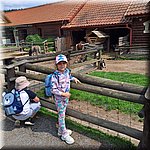 20250610_113227.jpg