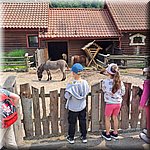 20250610_113247.jpg