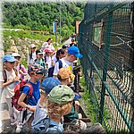 20250610_114309.jpg