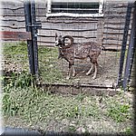 20250610_114701.jpg