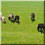 20250610_132847.jpg