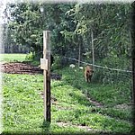 20250610_133258.jpg
