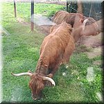 20250610_133307.jpg