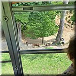 20250610_134822.jpg