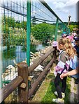 IMG-20250624-WA0023.jpg