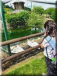 IMG-20250624-WA0024.jpg