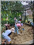 IMG-20250624-WA0034.jpg