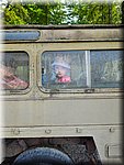 IMG-20250624-WA0036.jpg