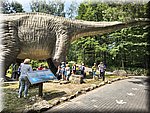 IMG_20250610_104453717_HDR.jpg
