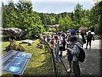 IMG_20250610_105225688_HDR.jpg