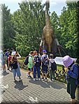 IMG_20250610_105526.jpg