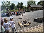 IMG_20250610_114122253_HDR.jpg