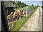 IMG_20250610_133837744_HDR.jpg
