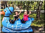 IMG_20250610_155247662_HDR.jpg
