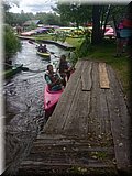 IMG_20250617_093454534_HDR.jpg