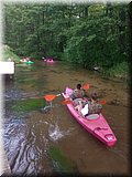 IMG_20250617_093633152.jpg