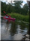 IMG_20250617_110157704.jpg