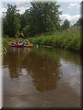 IMG_20250617_111025254.jpg