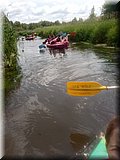 IMG_20250617_111338804.jpg