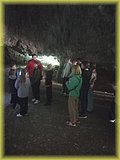 IMG_20250522_120520778.jpg