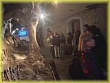 IMG_20250522_150745899.jpg