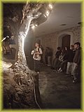IMG_20250522_150818725.jpg