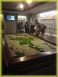 IMG_20250522_151325216.jpg