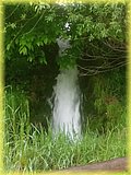 IMG_20250522_162236245.jpg
