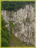 IMG_20250522_164426210.jpg