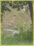 IMG_20250522_170149977.jpg