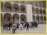 IMG_20250523_101625866.jpg