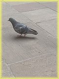 IMG_20250523_111423319.jpg