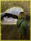 IMG_7981.JPG