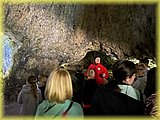 IMG_7982.JPG