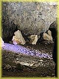 IMG_7991.JPG