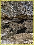 IMG_7993.JPG