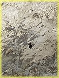 IMG_7995.JPG