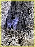 IMG_8003.JPG