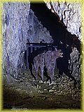 IMG_8008.JPG